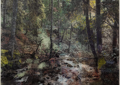 Ruisseau du Géhard